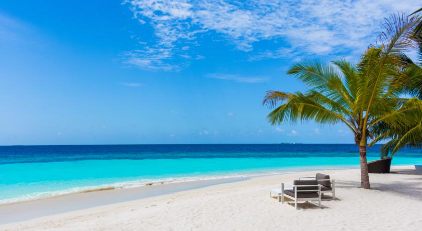 Kandolhu Maldives — Арі (Аліфу) атол, Мальдіви мініатюра 11