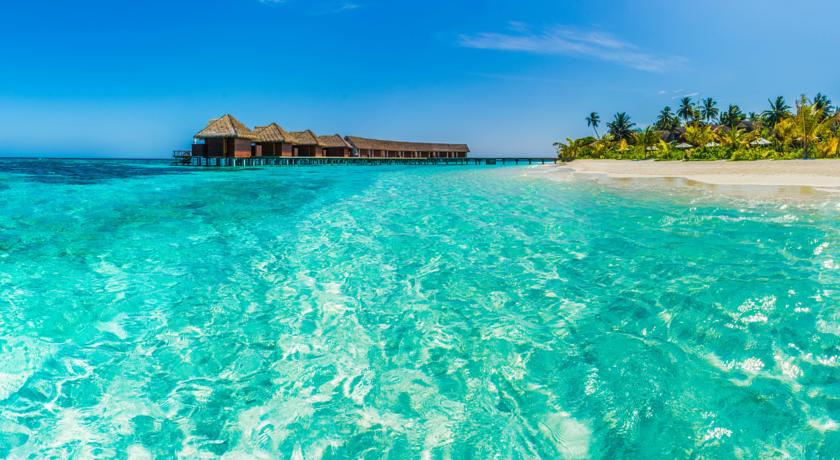 Kandolhu Maldives — Арі (Аліфу) атол, Мальдіви мініатюра 12