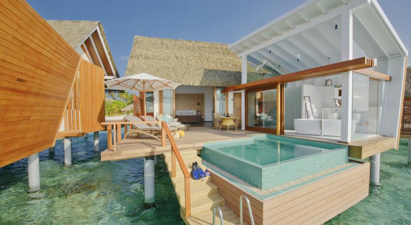 Kandolhu Maldives — Арі (Аліфу) атол, Мальдіви мініатюра 22