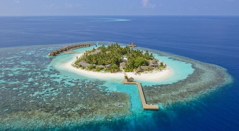 Kandolhu Maldives — Арі (Аліфу) атол, Мальдіви мініатюра 23