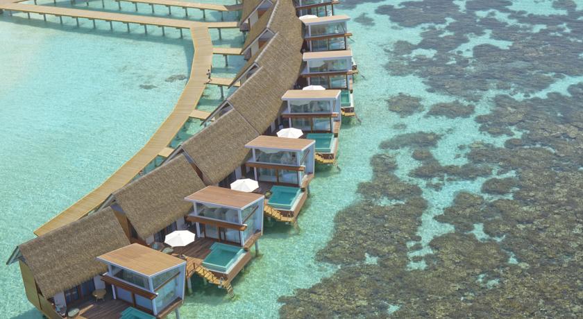 Kandolhu Maldives — Арі (Аліфу) атол, Мальдіви мініатюра 28