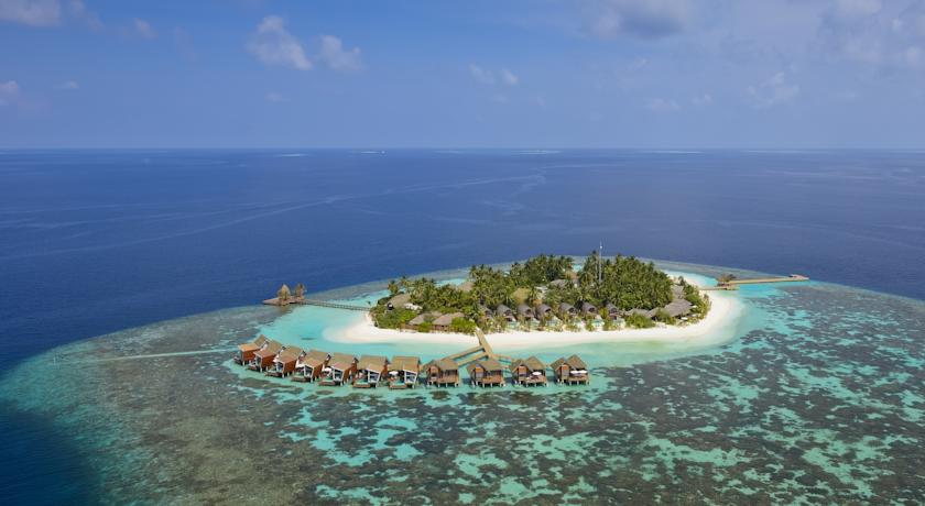 Kandolhu Maldives — Арі (Аліфу) атол, Мальдіви мініатюра 30