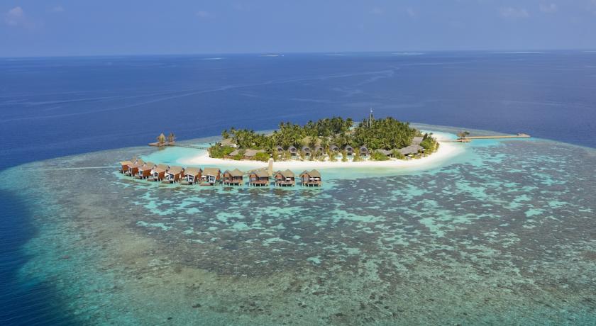 Kandolhu Maldives — Арі (Аліфу) атол, Мальдіви мініатюра 31