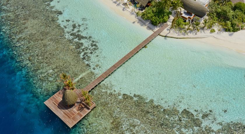 Kandolhu Maldives — Арі (Аліфу) атол, Мальдіви мініатюра 32