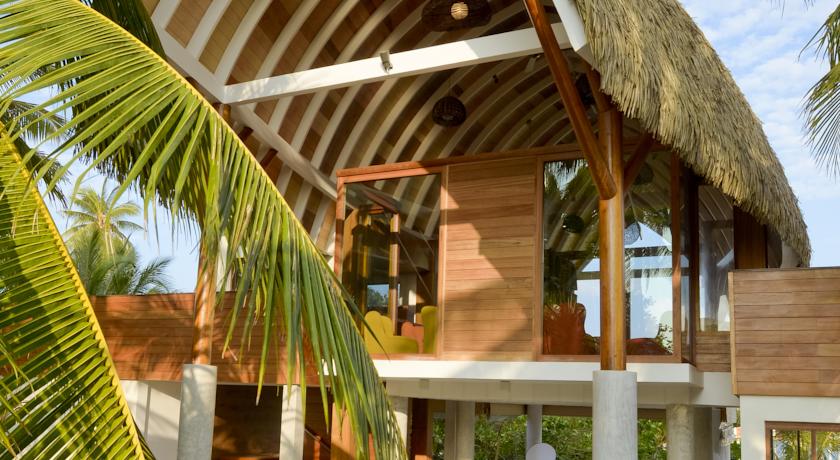 Kandolhu Maldives — Арі (Аліфу) атол, Мальдіви мініатюра 33