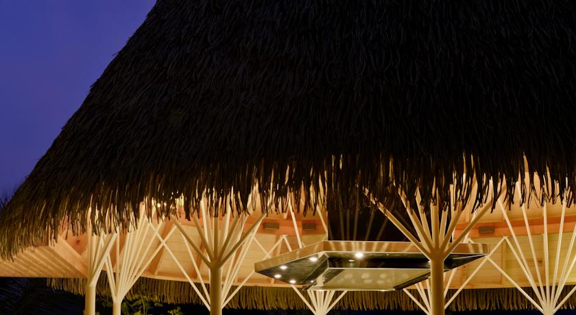 Kandolhu Maldives — Арі (Аліфу) атол, Мальдіви мініатюра 42