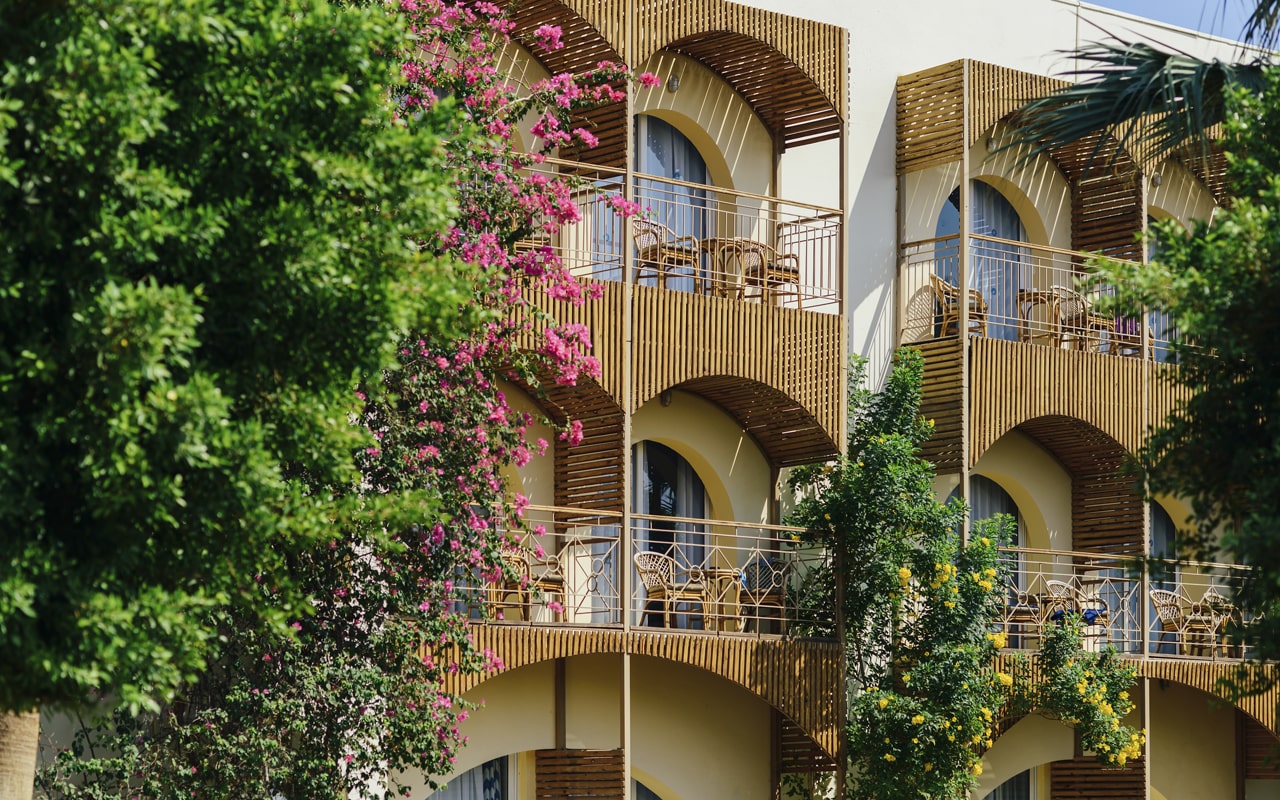 Desert Rose Resort, Хургада, Єгипет мініатюра 48
