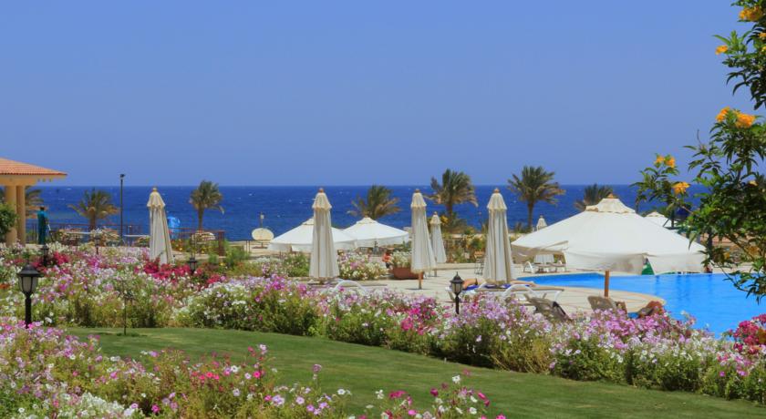 Brayka Bay Resort — Марса Алам, Єгипет мініатюра 20