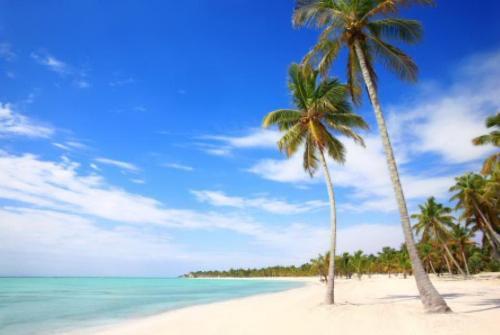 Sanctuary Cap Cana — Кап Кана, Домініканська Республіка мініатюра 21