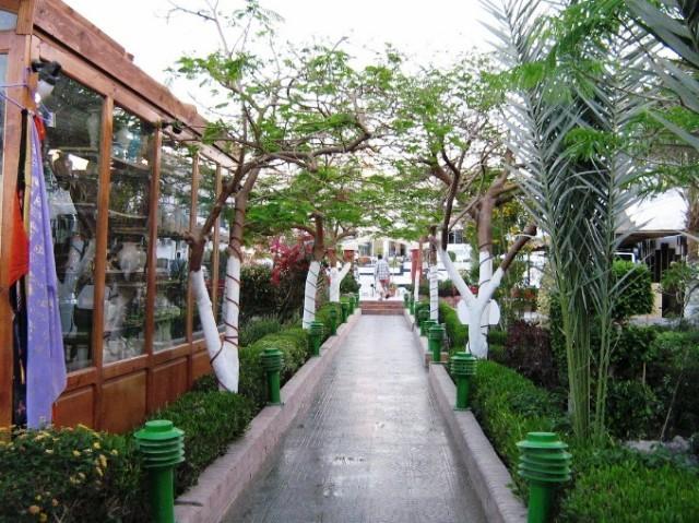 Sand Beach Hotel — Хургада, Єгипет мініатюра 33