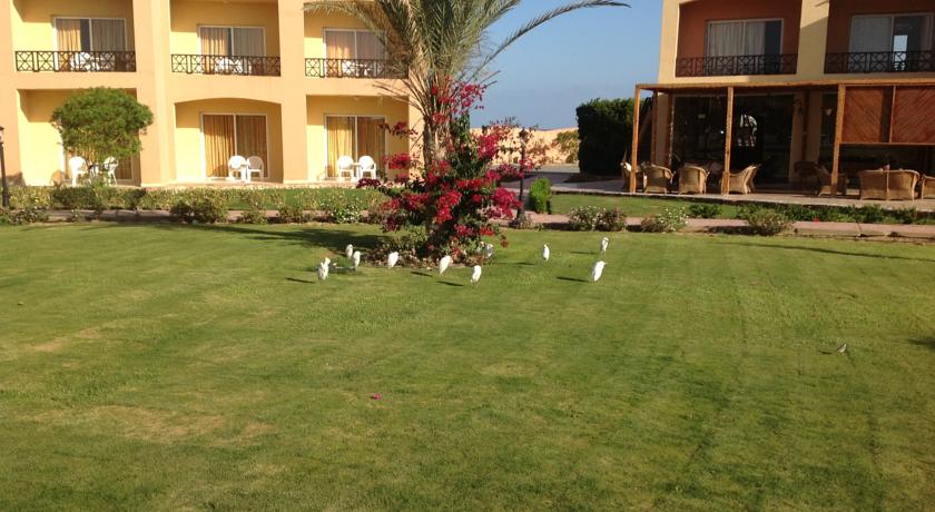 Wadi Lahmy Azur Resort — Марса Алам, Єгипет мініатюра 66