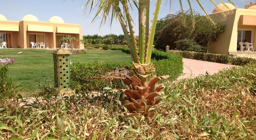 Wadi Lahmy Azur Resort — Марса Алам, Єгипет мініатюра 74