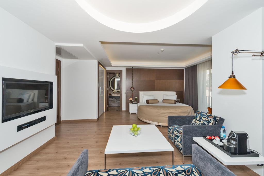 Dora Hotel Istanbul — Стамбул, Туреччина мініатюра 9
