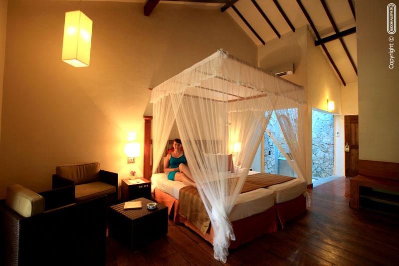 Siddhalepa Ayurveda Health Resort — Ваддува, Шрі Ланка мініатюра 12