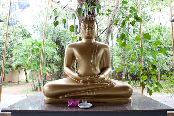 Siddhalepa Ayurveda Health Resort — Ваддува, Шрі Ланка мініатюра 23