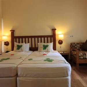 Siddhalepa Ayurveda Health Resort — Ваддува, Шрі Ланка мініатюра 41