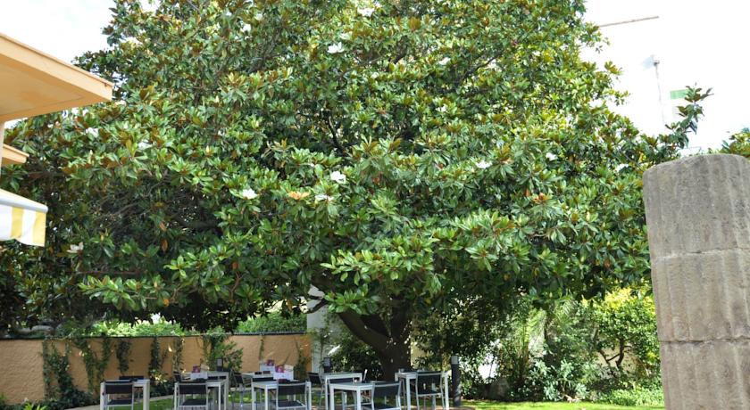 Sorrabona Hotel Pineda de Mar — Коста Барселона, Іспанія мініатюра 8