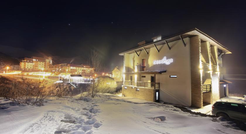 Good Aura Hotel — Гудаурі, Грузія мініатюра 105