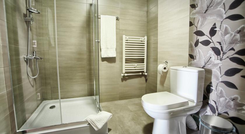 Good Aura Hotel — Гудаурі, Грузія мініатюра 136
