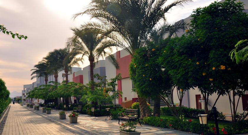 Sunrise Crystal Bay Resort Grand Select — Хургада, Єгипет мініатюра 15