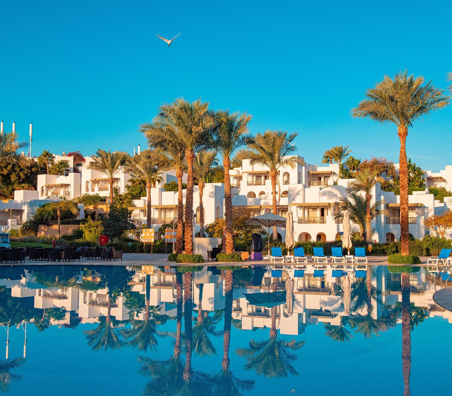 Novotel Sharm El Sheikh Palm — Наама Бей, Єгипет мініатюра 46