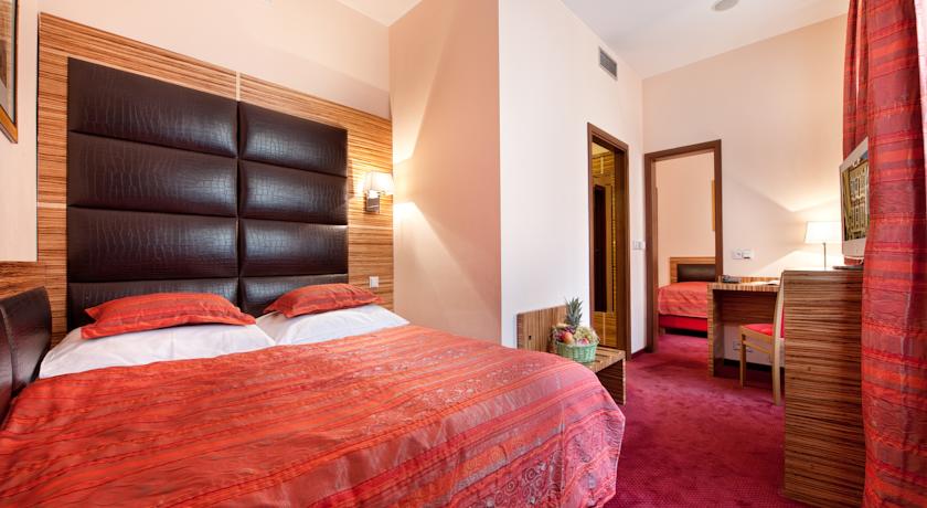EA Hotel Sonata — Прага, Чехія мініатюра 18