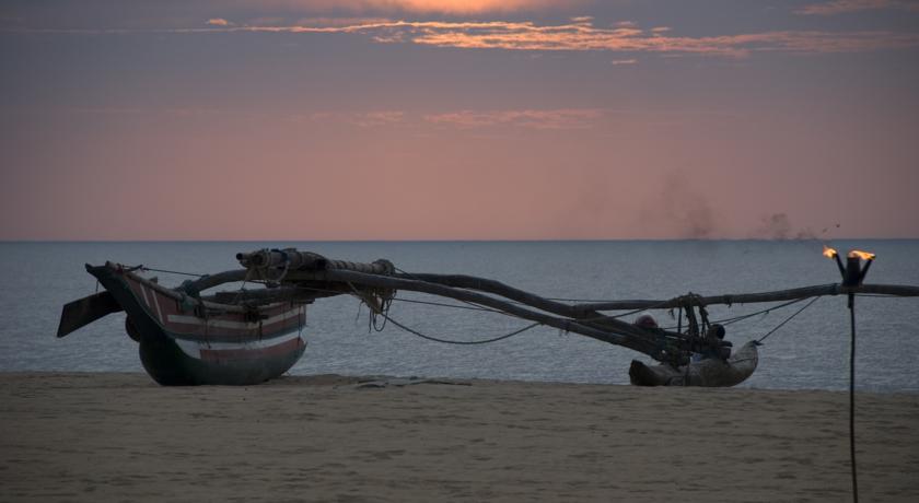 Jetwing Beach — Негомбо, Шрі Ланка мініатюра 14