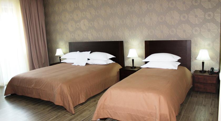 Crystal Hotel & SPA — Бакуріані, Грузія мініатюра 33