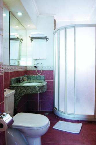 Benler Hotel — Стамбул, Туреччина мініатюра 10