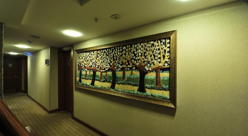 Golden City Hotel Istanbul — Стамбул, Туреччина мініатюра 11