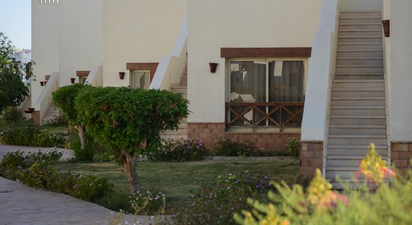Amphoras Aqua Hotel — Хадаба, Єгипет мініатюра 15