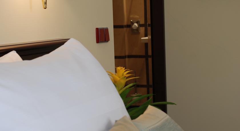 EA Hotel Downtown — Прага, Чехія мініатюра 20