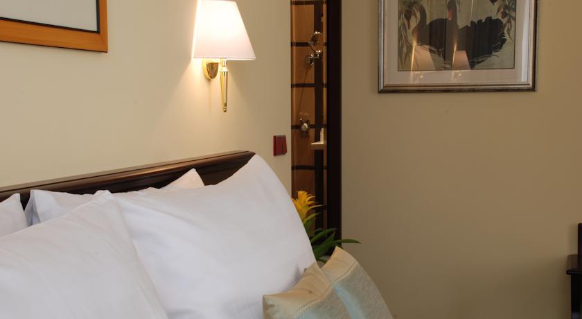 EA Hotel Downtown — Прага, Чехія мініатюра 21