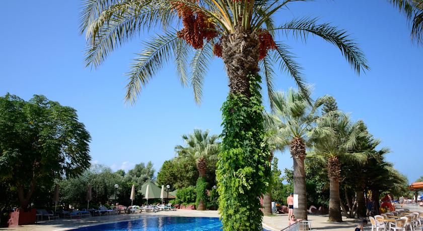M.C. Mahberi Beach Hotel — Аланья, Туреччина мініатюра 43