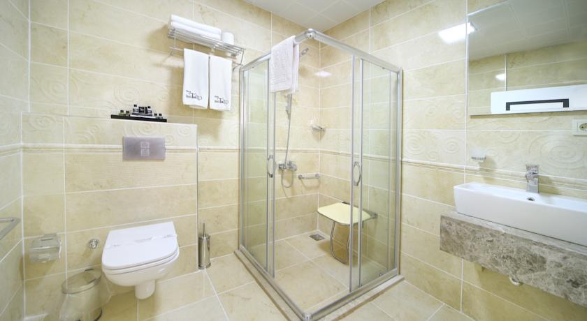 Black Tulip Hotel — Стамбул, Туреччина мініатюра 25