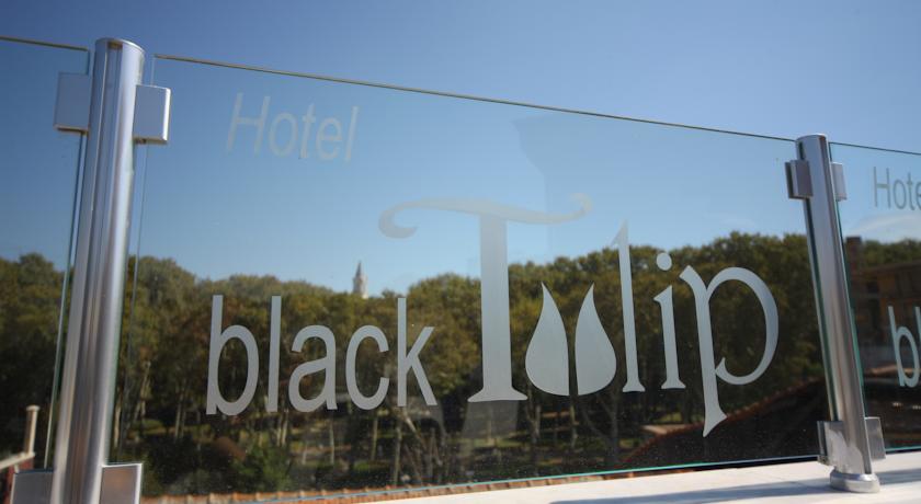Black Tulip Hotel — Стамбул, Туреччина мініатюра 43