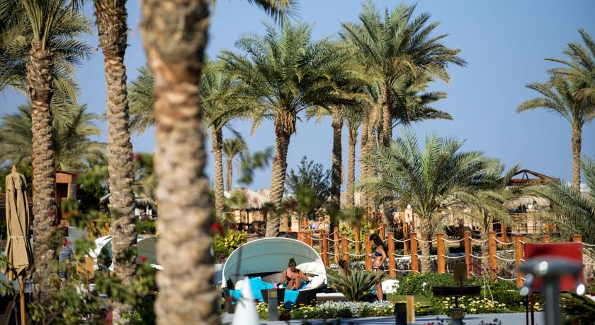 Sunrise Montemare Resort Grand Select — Хадаба, Єгипет мініатюра 45