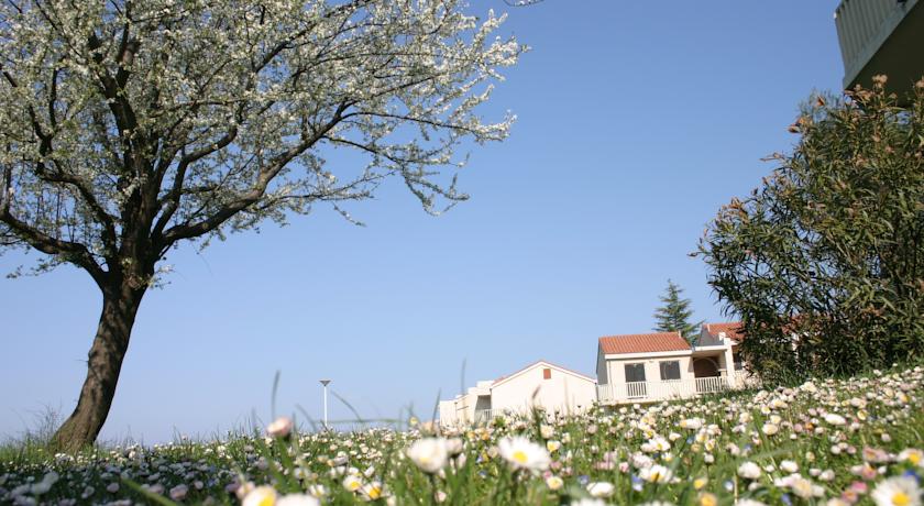 Katoro Plava Laguna Apartments — П-ів Істрія, Хорватія мініатюра 21