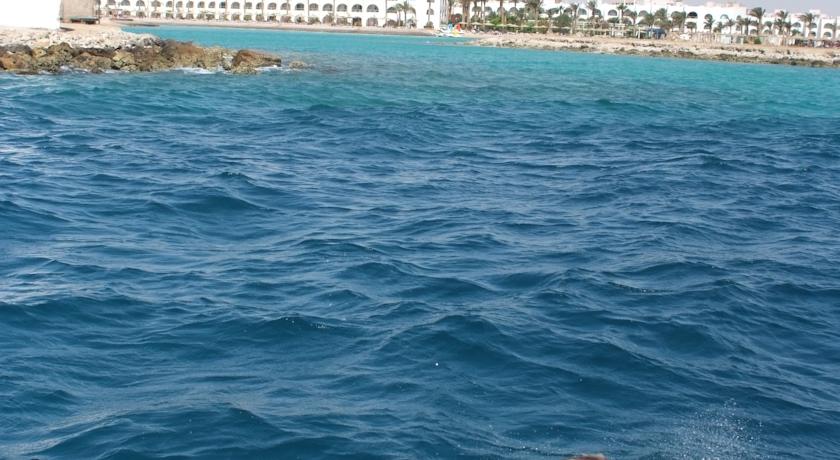 Arabia Azur Resort — Хургада, Єгипет мініатюра 31