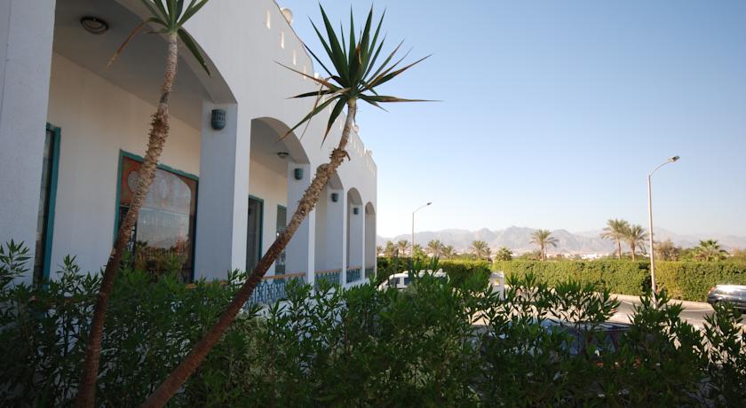 Dive Inn Resort — Хадаба, Єгипет мініатюра 23