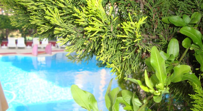 Galaxy Beach Hotel — Аланья, Туреччина мініатюра 13