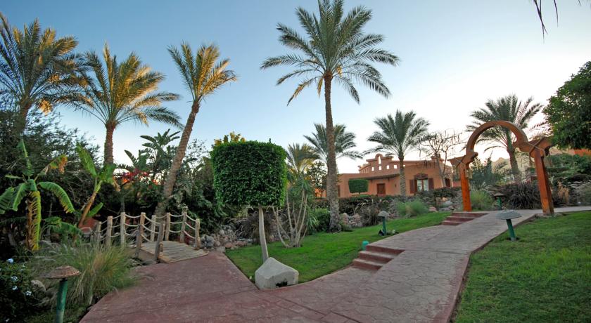 Nubian Island Hotel — Набк Бей, Єгипет мініатюра 38