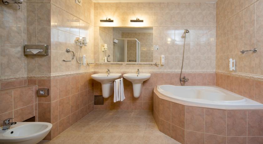 OREA Hotel Palace Zvon — Маріанські Лазнe, Чехія мініатюра 35