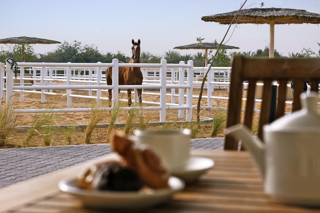 Anantara Sir Bani Yas Island Al Sahel Villas, Абу Дабі, Об'єднані Арабські Емірати мініатюра 18