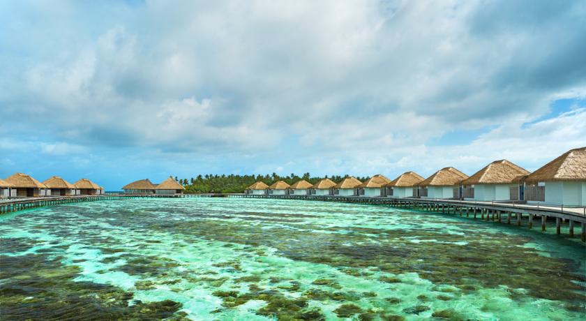 Como Maalifushi — Тхаа Атол, Мальдіви мініатюра 17