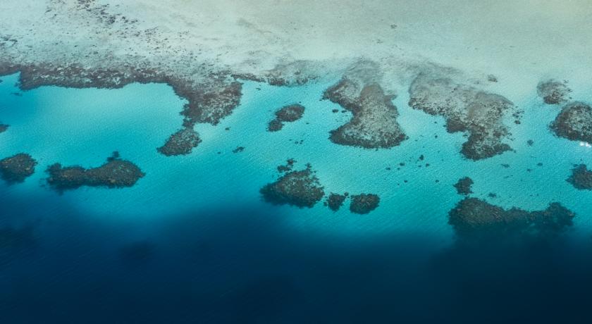 Como Maalifushi — Тхаа Атол, Мальдіви мініатюра 19