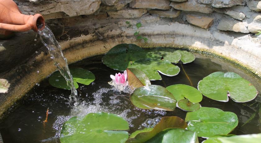 Bordo Guest House — Обзор, Болгарія мініатюра 30