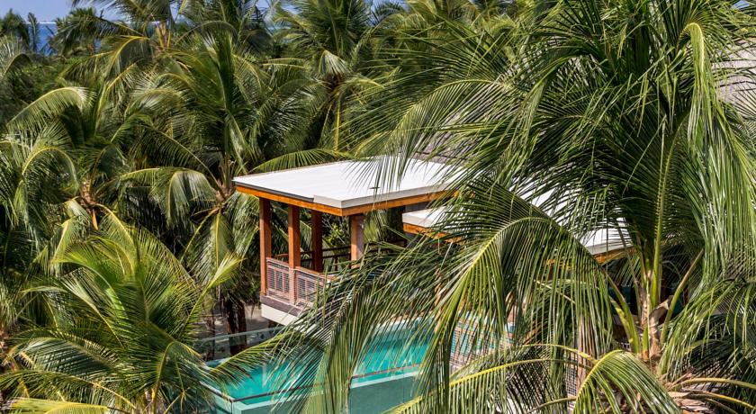 Amilla Maldives Resort & Residences — Баа Атол, Мальдіви мініатюра 206