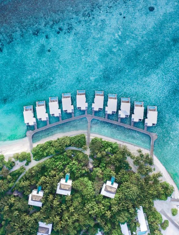 Amilla Maldives Resort & Residences — Баа Атол, Мальдіви мініатюра 223