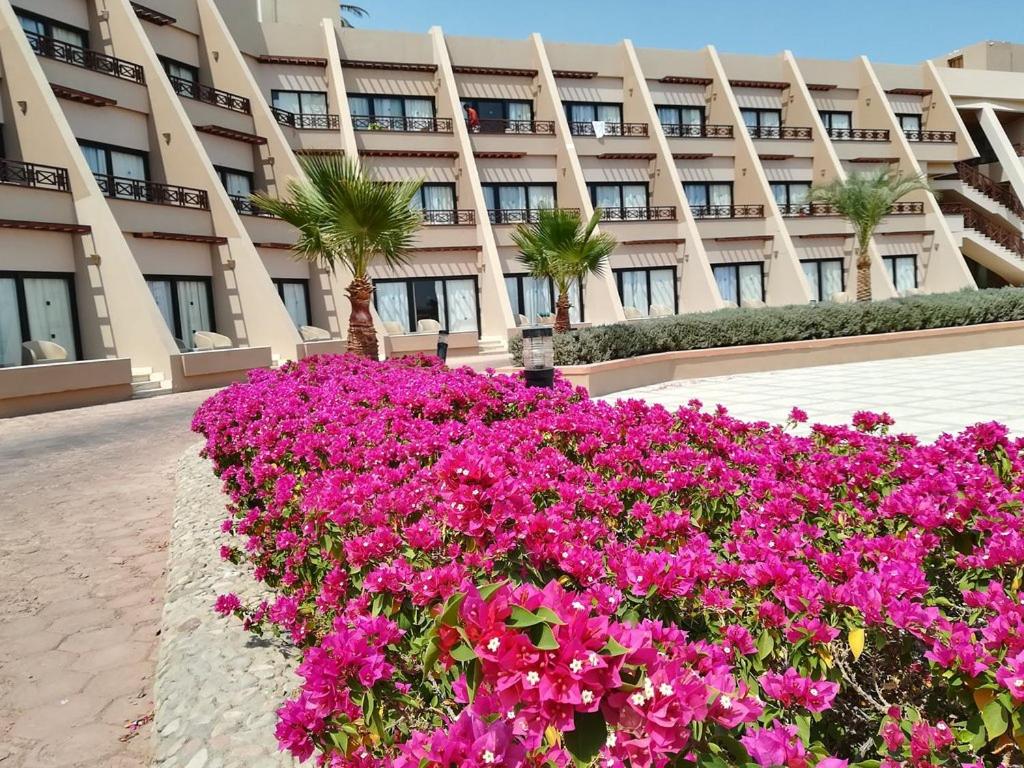 Pharaoh Azur Resort — Хургада, Єгипет мініатюра 38
